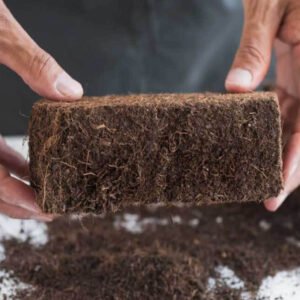 Coconut Block low EC